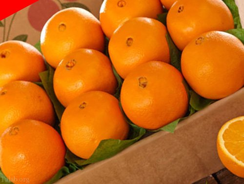 خواص بی نظیر پرتقال | آشنای با خواص و مضرات پرتقال