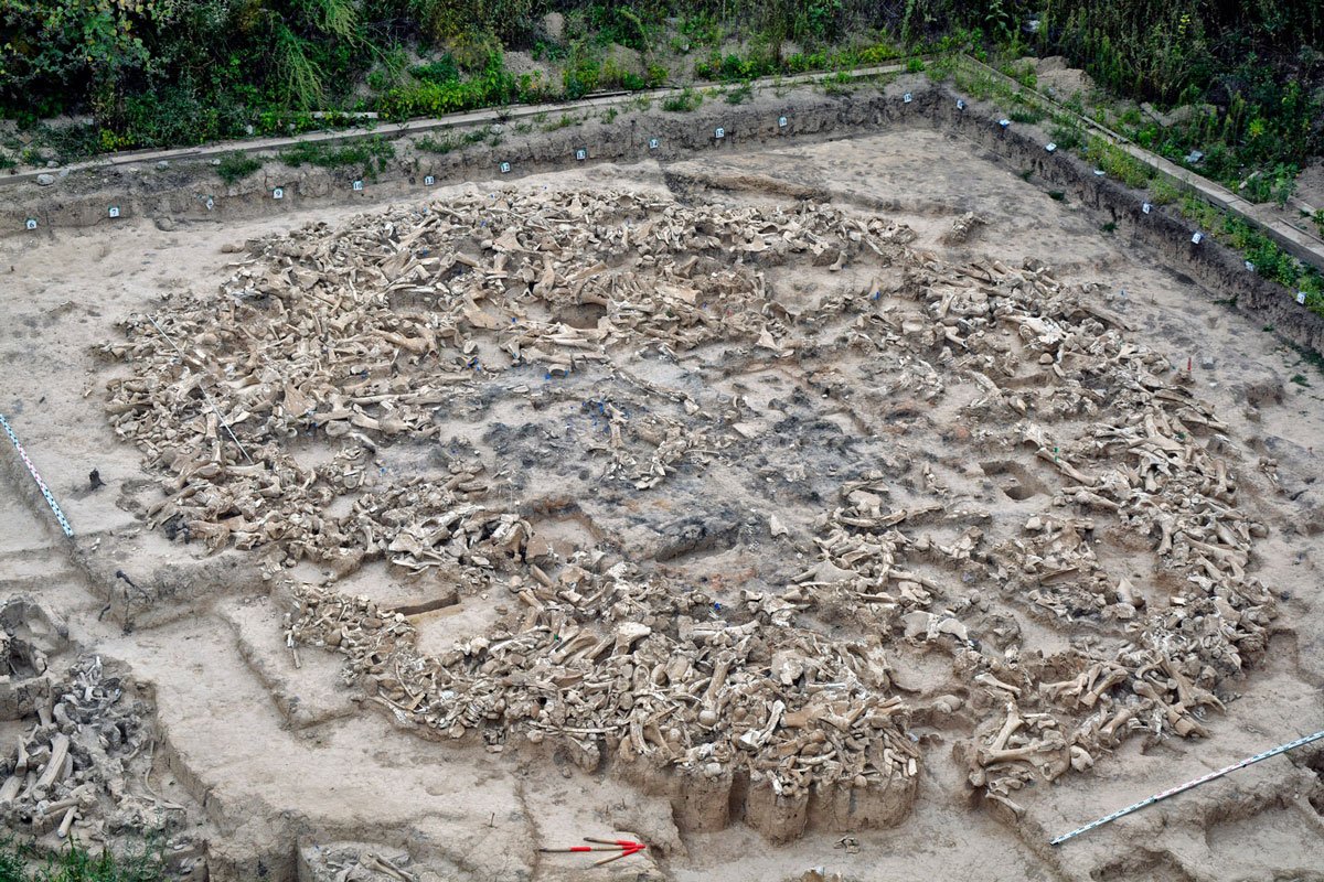 کشف بنایی از استخوان ماموت بازمانده از عصر یخبندان2