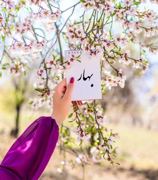 عکس پروفایل بهاری جدید + متن ها و اشعار زیبا درباره فصل بهار